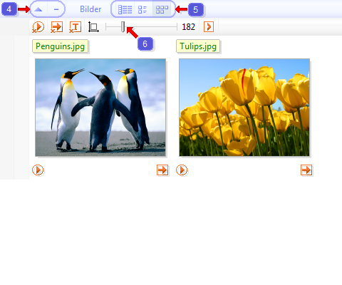 Dateiansicht des Programm FileProtected